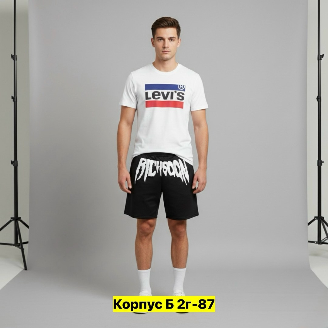 футболка мужская,футболка levis,одежда футболка,футболка левайс,футболки с принтом