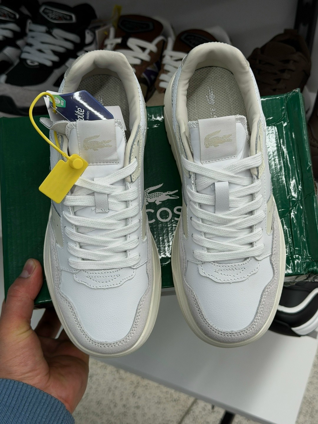 кроссовки lacoste,lacoste кроссовки женские,кроссовки лакоста,лакоста кроссовки женские,кроссовки лакост