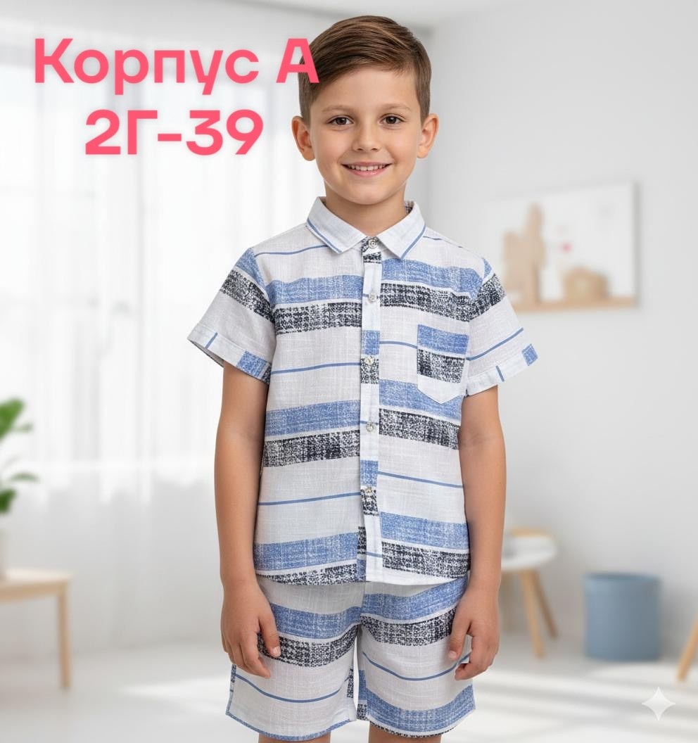 комплект одежды для мальчика,летний костюм для мальчика,одежда для мальчика,костюм для мальчика,костюм детский