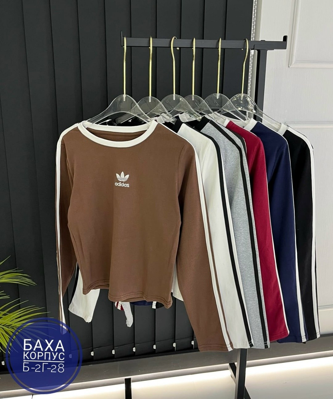 адидас свитшот,adidas originals adidas,кофта адидас,кофта женская,спортивные костюм