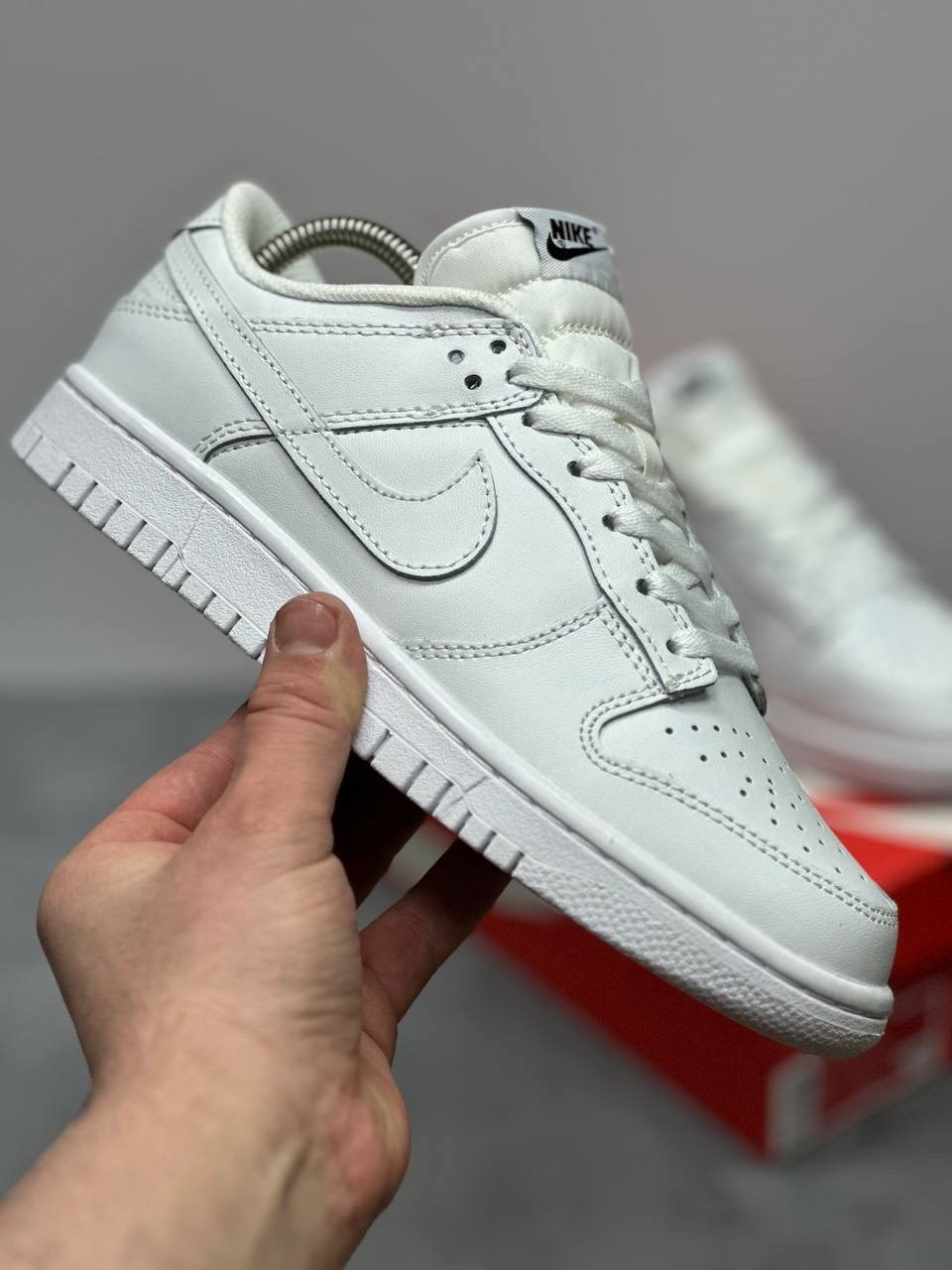 nike dunk low a,кроссовки,кроссовки nike dunk low,nike dunk low coast,кроссовки мужские женские