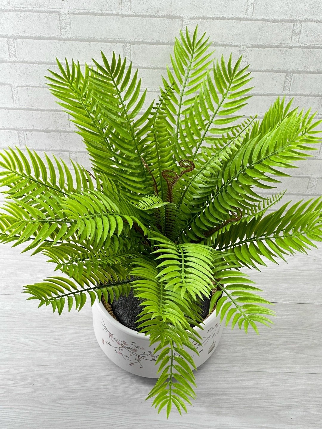 искусственная пальма,искусственная растения,искусственный папоротник,папоротник,растение