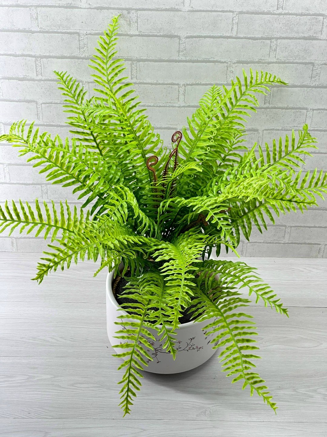 нефролепис,нефролепис грин,папоротник,нефролепис микс,искусственный папоротник