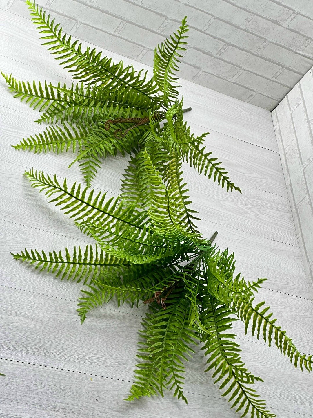 нефролепис,нефролепис грин,папоротник,нефролепис микс,искусственный папоротник