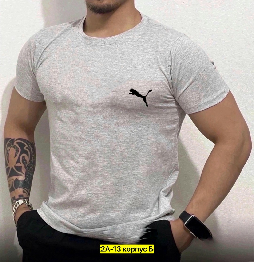 футболки мужские,футболка мужская puma,футболки для мужчин,футболка эластан мужская,футболка спортивная puma