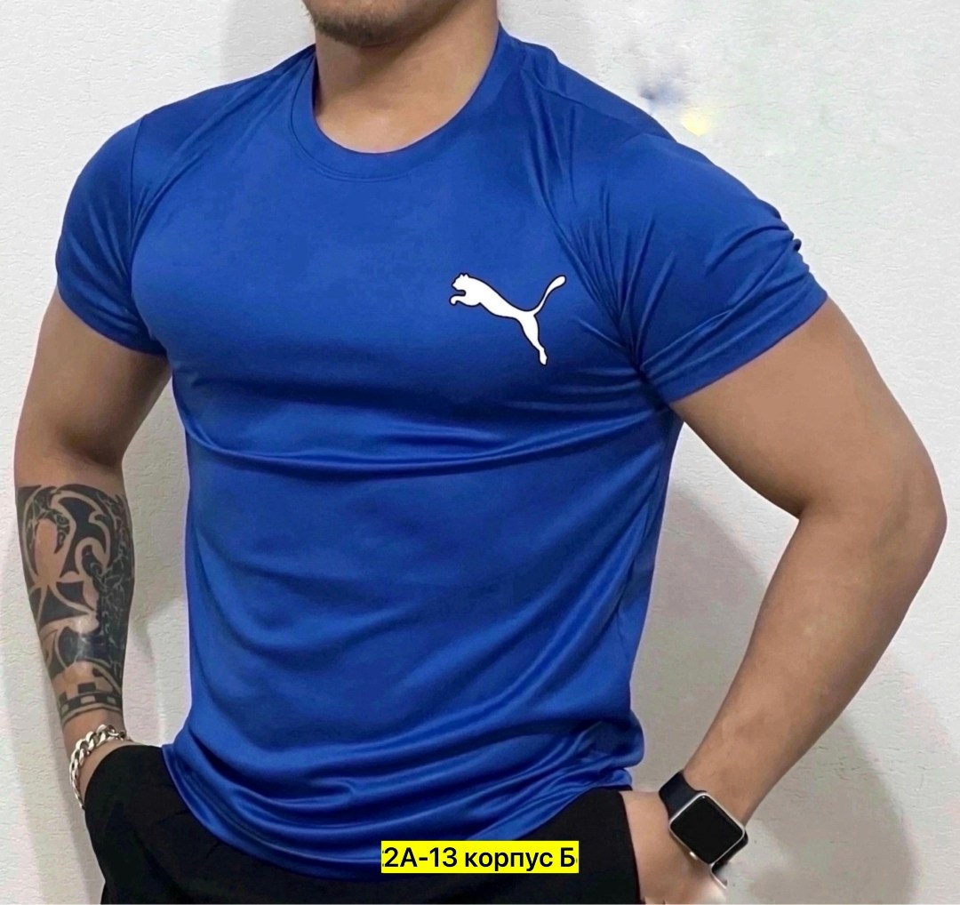футболки мужские,футболка мужская puma,футболки для мужчин,футболка эластан мужская,футболка спортивная puma