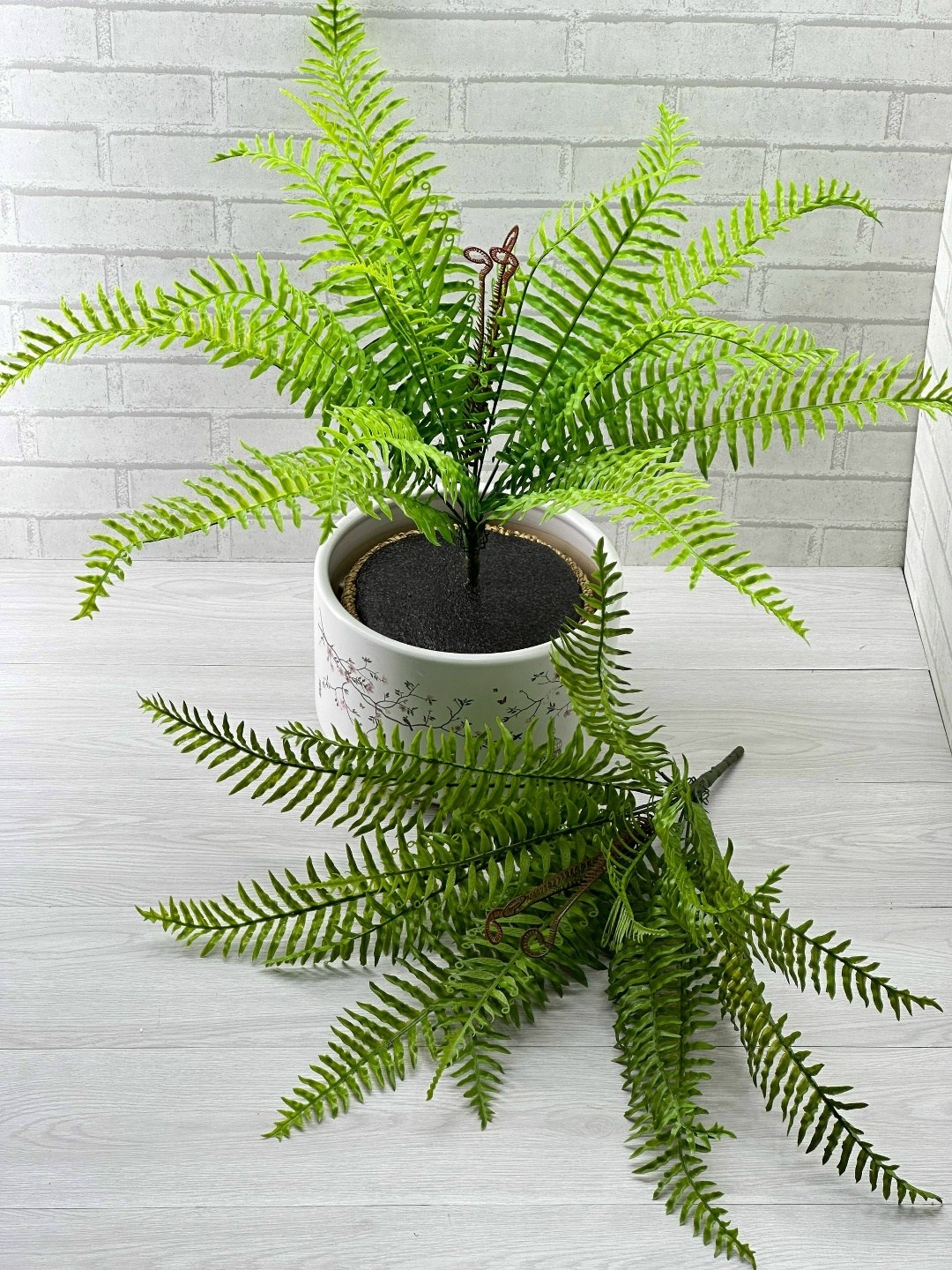 нефролепис,нефролепис грин,папоротник,нефролепис микс,искусственный папоротник