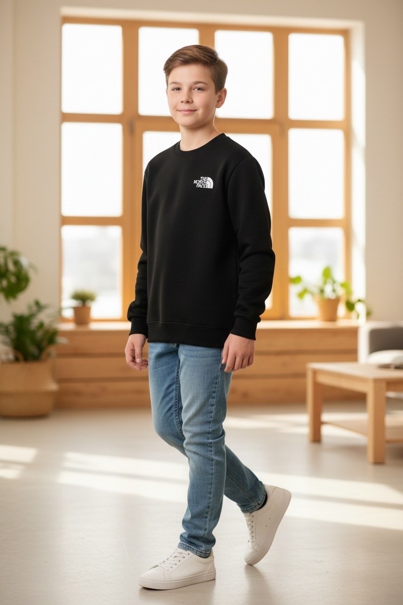 свитшот the north face для мальчика,jacob sartorius sweatshirt,свитшот the north face,серый свитшот the north face,толстовка the north face