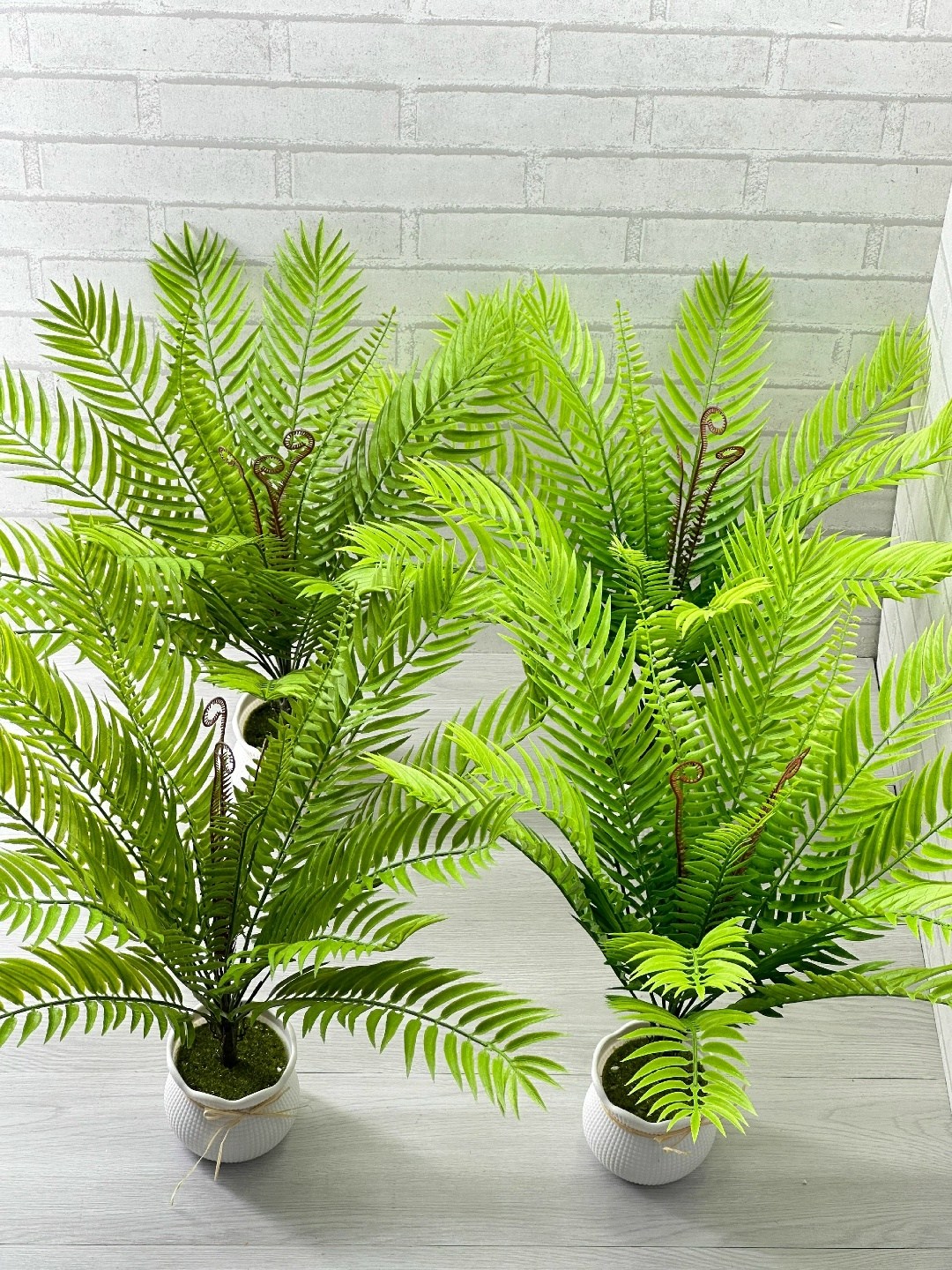 искусственная пальма,искусственная растения,искусственный папоротник,папоротник,растение
