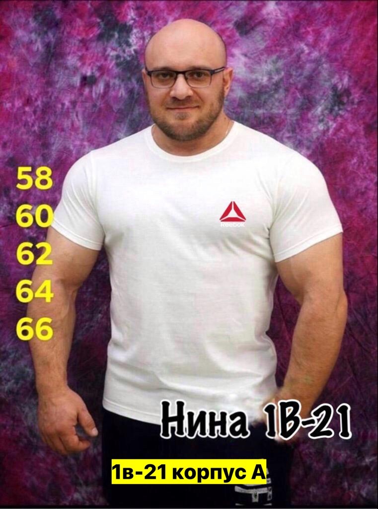 футболки для мужчин,футболки мужские,мужская футболка великан,футболка великан,футболка