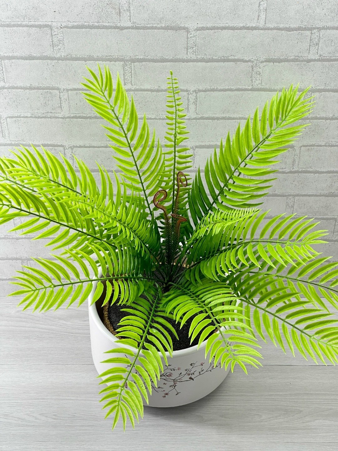 искусственная пальма,искусственная растения,искусственный папоротник,папоротник,растение
