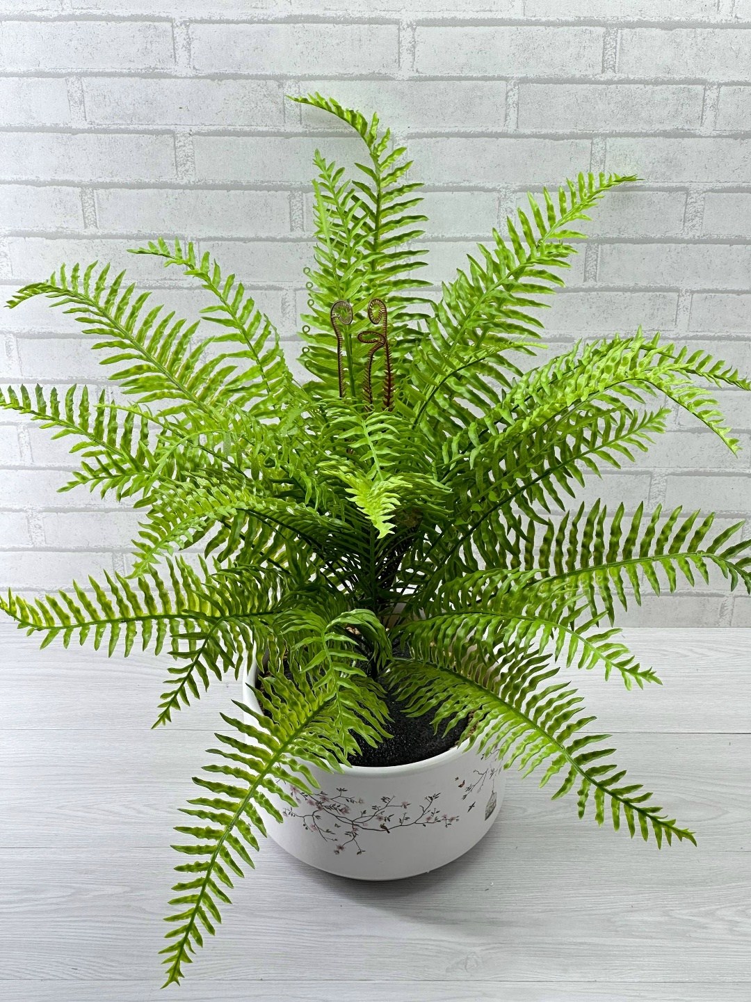 нефролепис,нефролепис грин,папоротник,нефролепис микс,искусственный папоротник