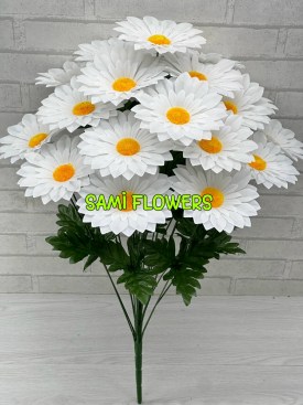 Одежда