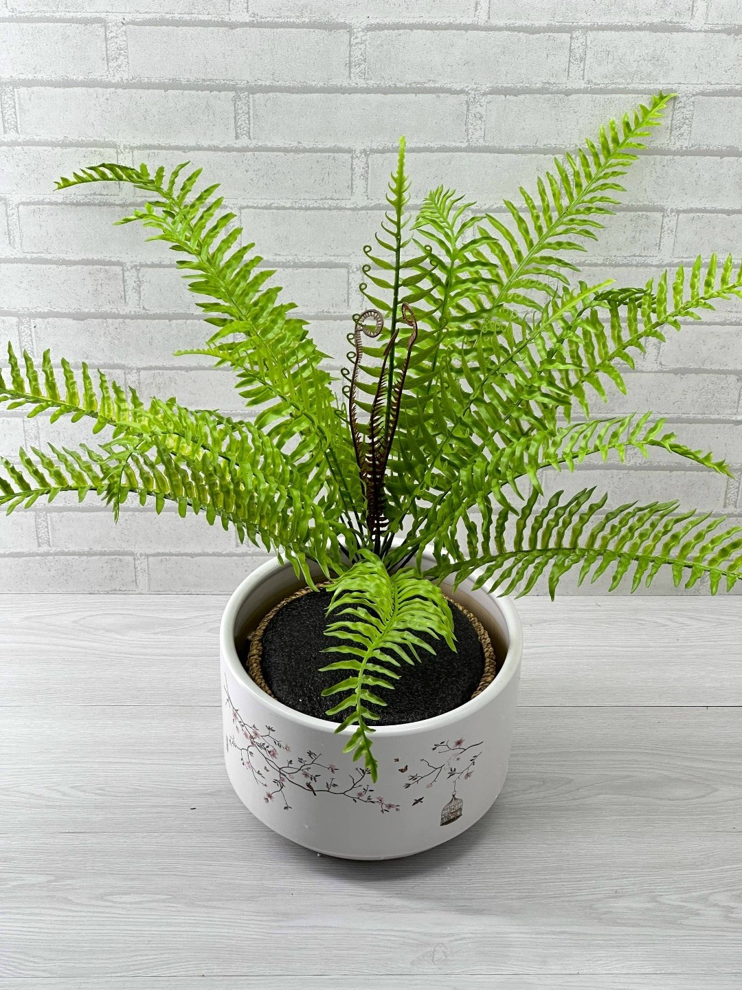 нефролепис,нефролепис грин,папоротник,нефролепис микс,искусственный папоротник