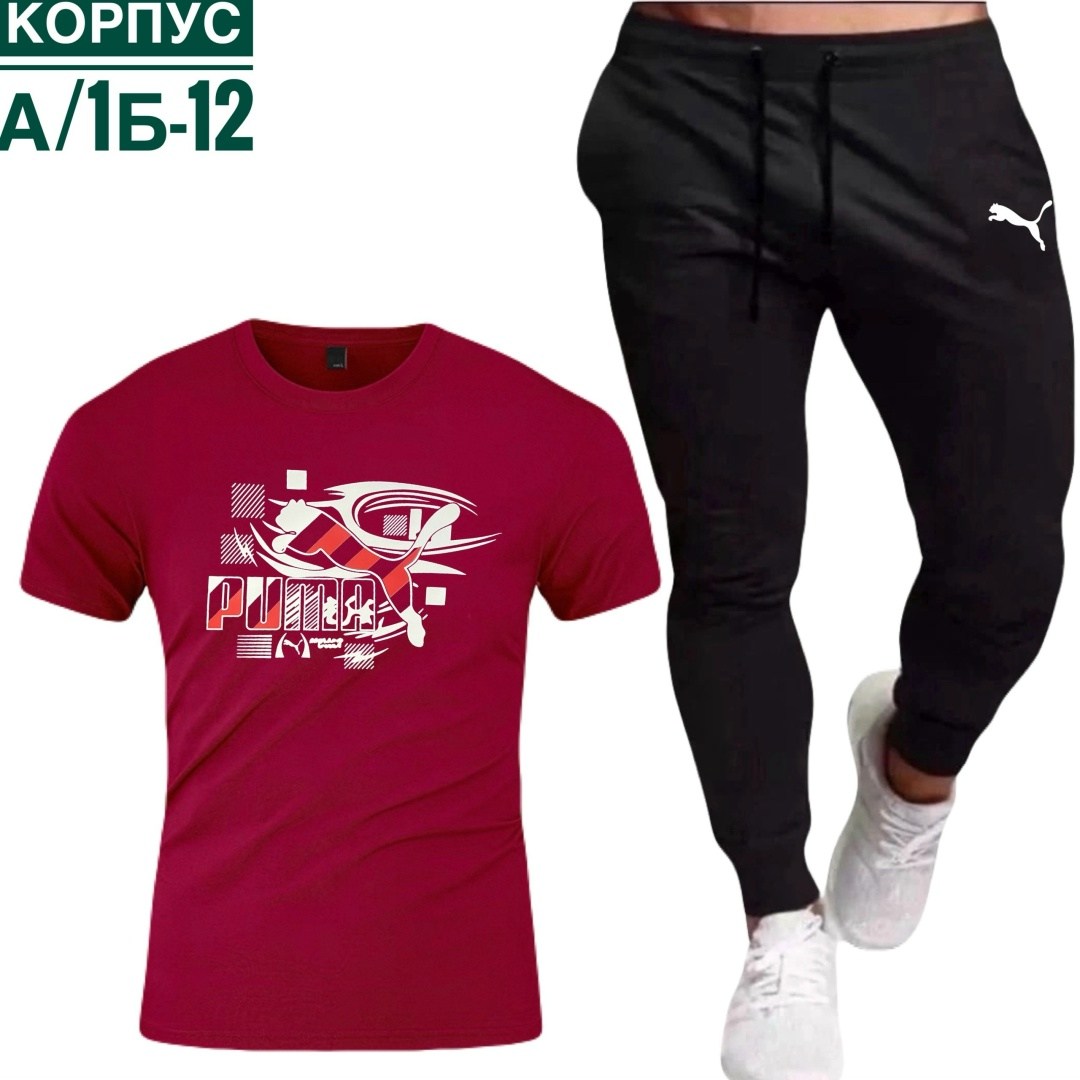 спортивные мужские костюмы,спортивные костюм,мужские спортивные комплект,мужские спортивные брюки,мужские спортивные штаны