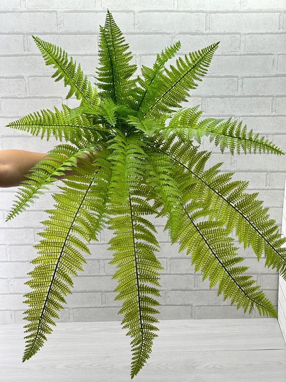 папоротник нефролепис бостон искусственный,папоротник нефролепис бостон,папоротник,нефролепис монтана,нефролепис бостонский