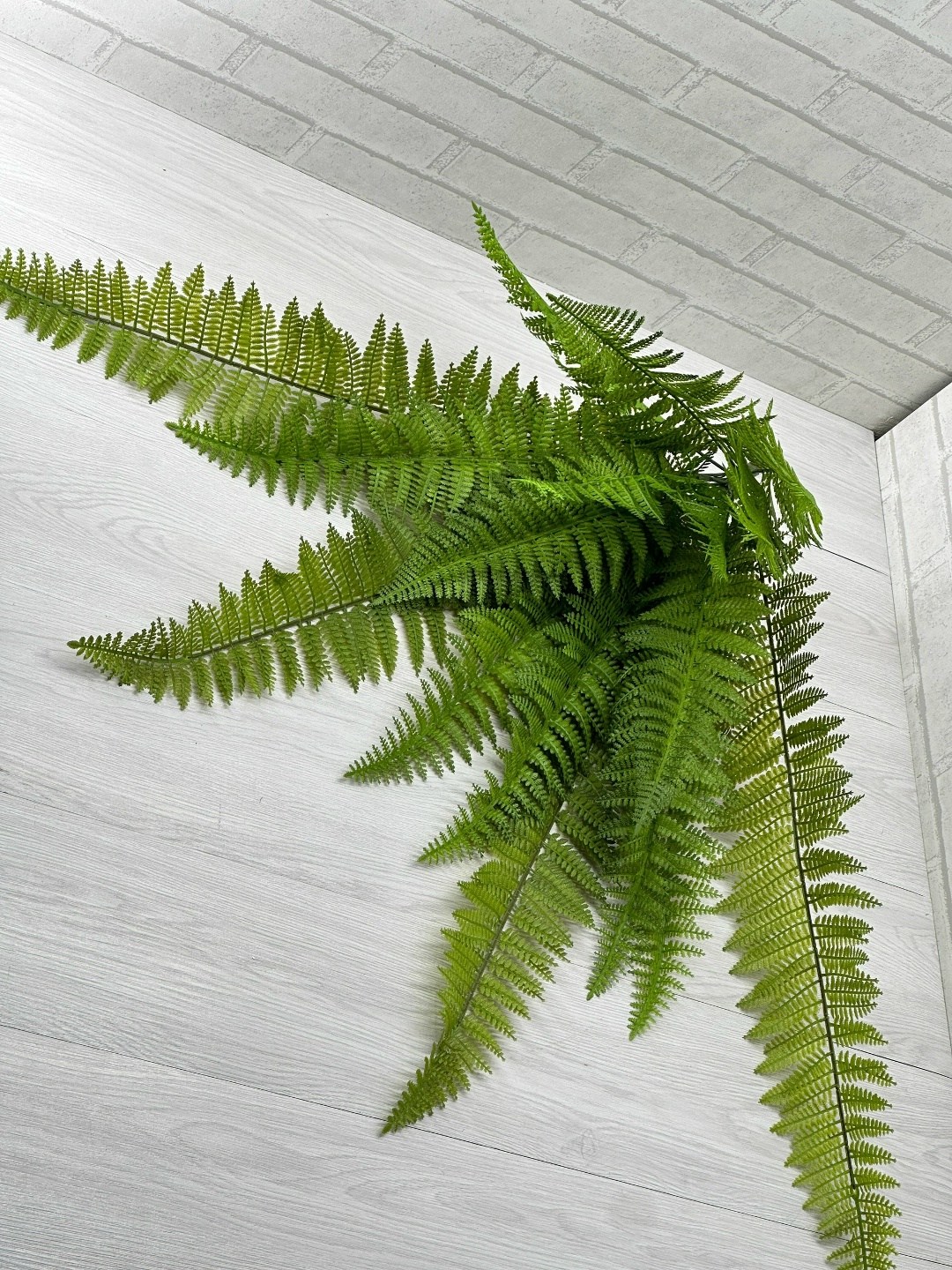 папоротник нефролепис бостон искусственный,папоротник нефролепис бостон,папоротник,нефролепис монтана,нефролепис бостонский