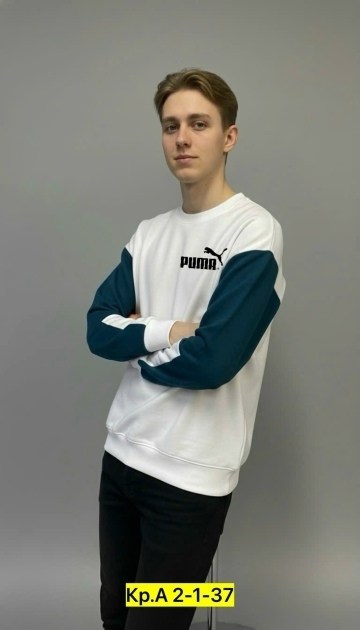 свитшот мужской puma,свитшот puma,мужские свитшоты,свитшот мужская,свитшот