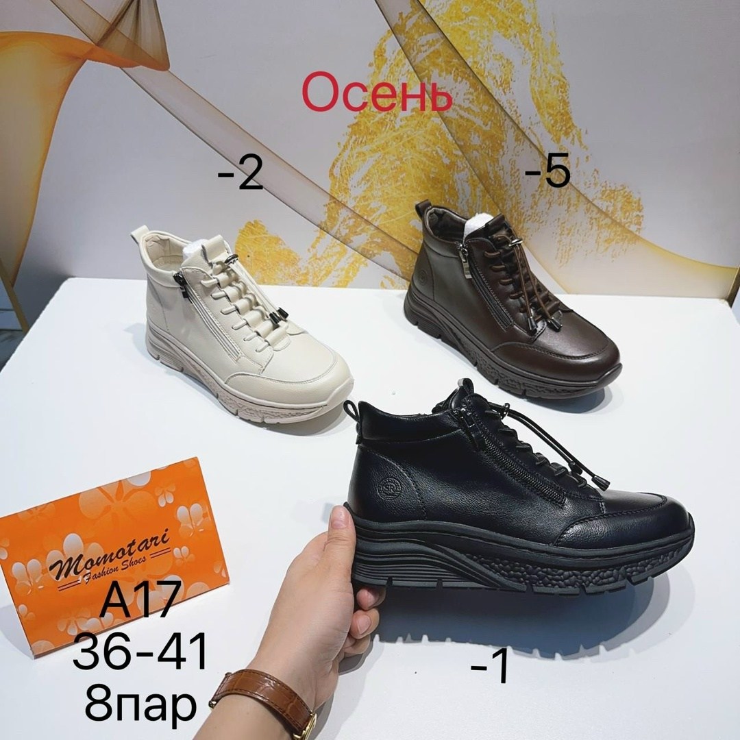 ,женские ботинки,обуви, женская,демисезонная