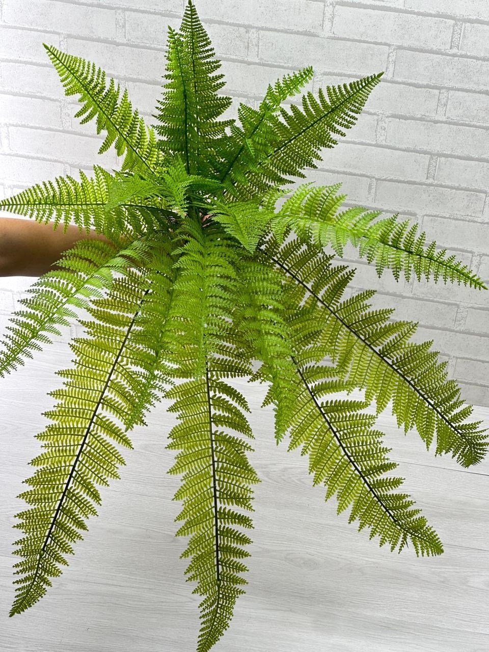 папоротник нефролепис бостон искусственный,папоротник нефролепис бостон,папоротник,нефролепис монтана,нефролепис бостонский