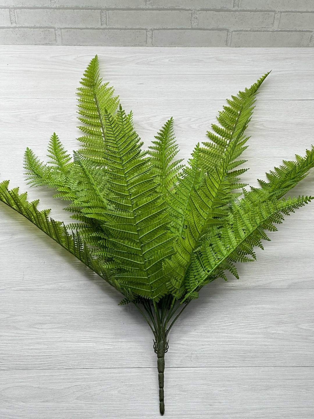 папоротник нефролепис бостон искусственный,папоротник нефролепис бостон,папоротник,нефролепис монтана,нефролепис бостонский