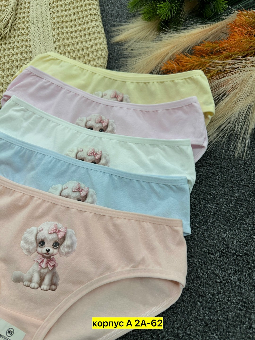 комплект трусов слипы donella для девочек 5 шт,трусы для девочки 5 шт donella,трусы для девочек donella,детские трусы для девочек,трусы для девочек