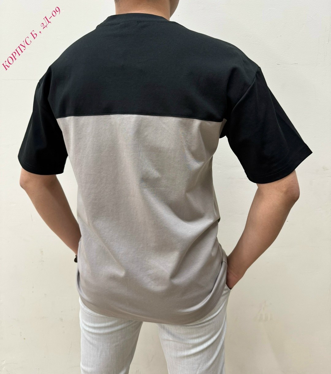 мужская футболка,мужская мода,футболки поло,мужские футболки lacoste,модели футболок