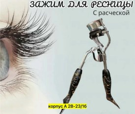 Одежда