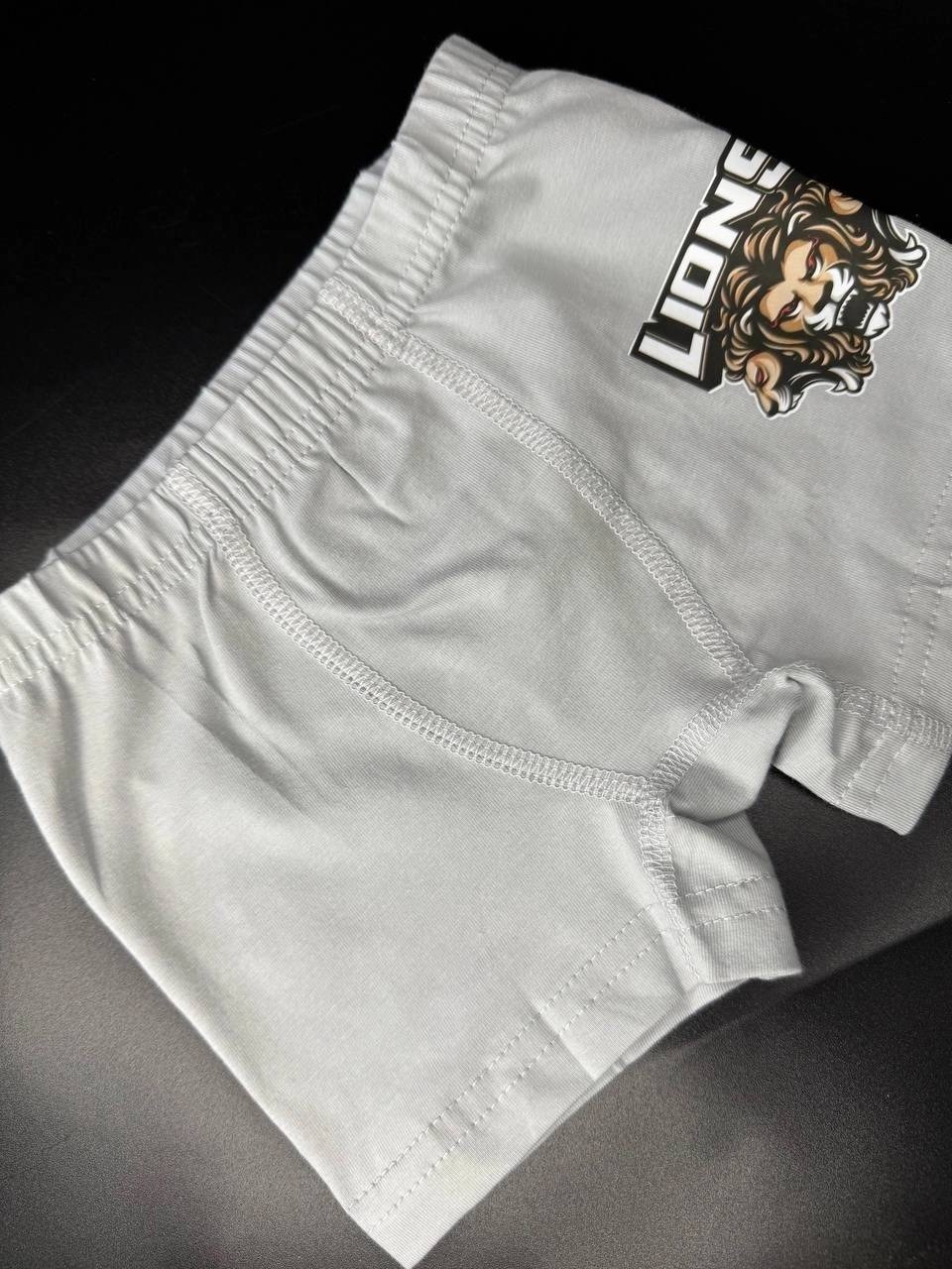 комплект трусов боксеры baykar для мальчиков,трусы боксеры для мальчика,комплект трусов боксеры baykar,боксеры для мальчика baykar,комплект трусов для мальчика