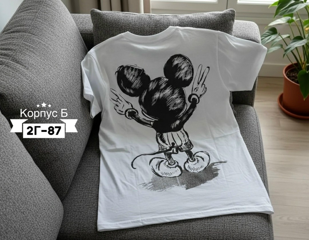 футболка,футболки базовая,футболки мужские с принтом,мужская футболка,футболка с принтом