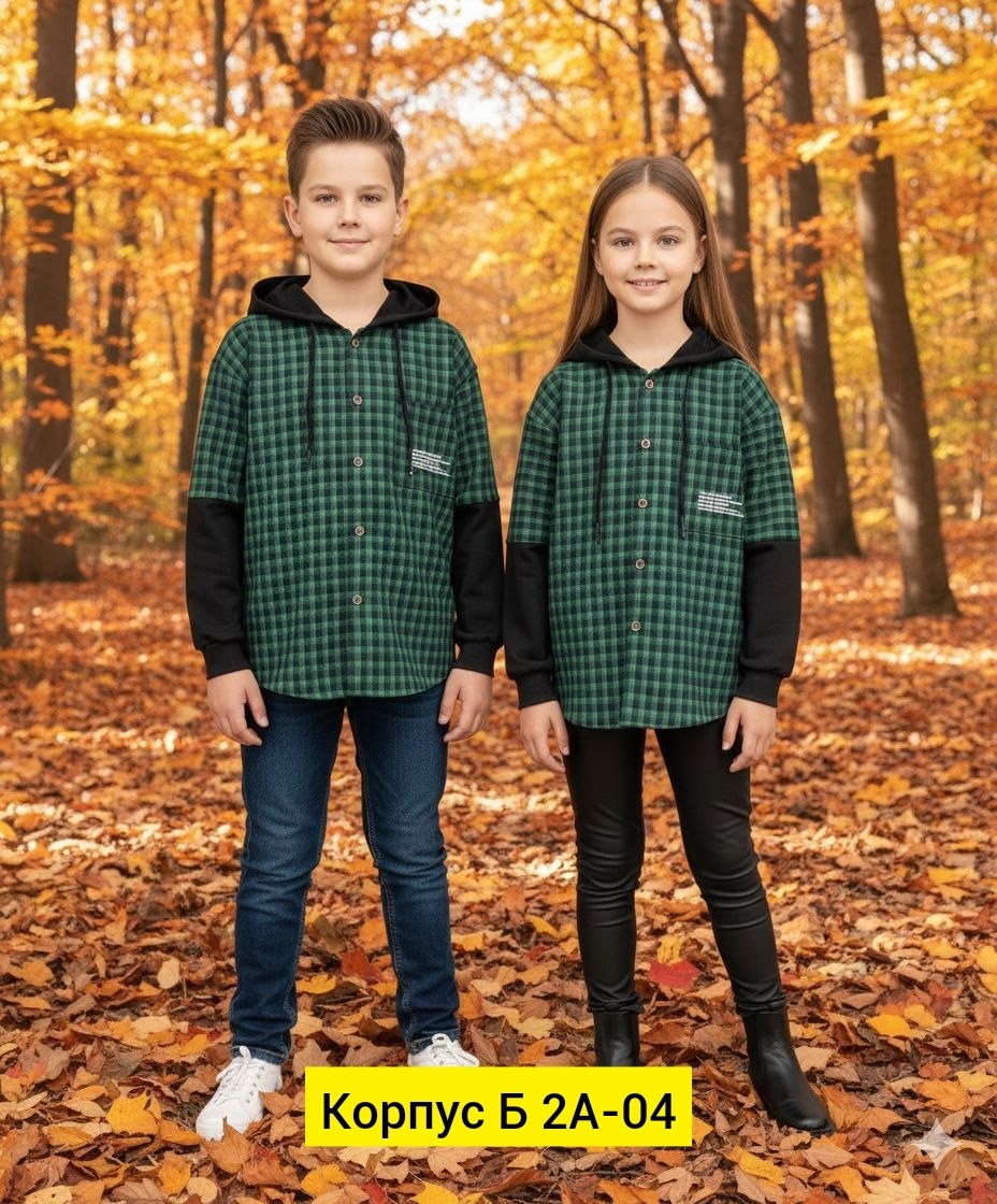 кофта для мальчика,одежда толстовка,толстовка для мальчика,рубашка с капюшоном,толстовка детская