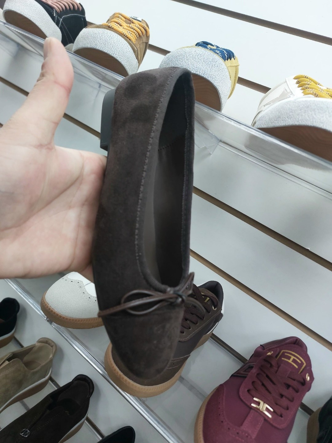 неро гардини  балетки,,балетки,балетки женские,обуви