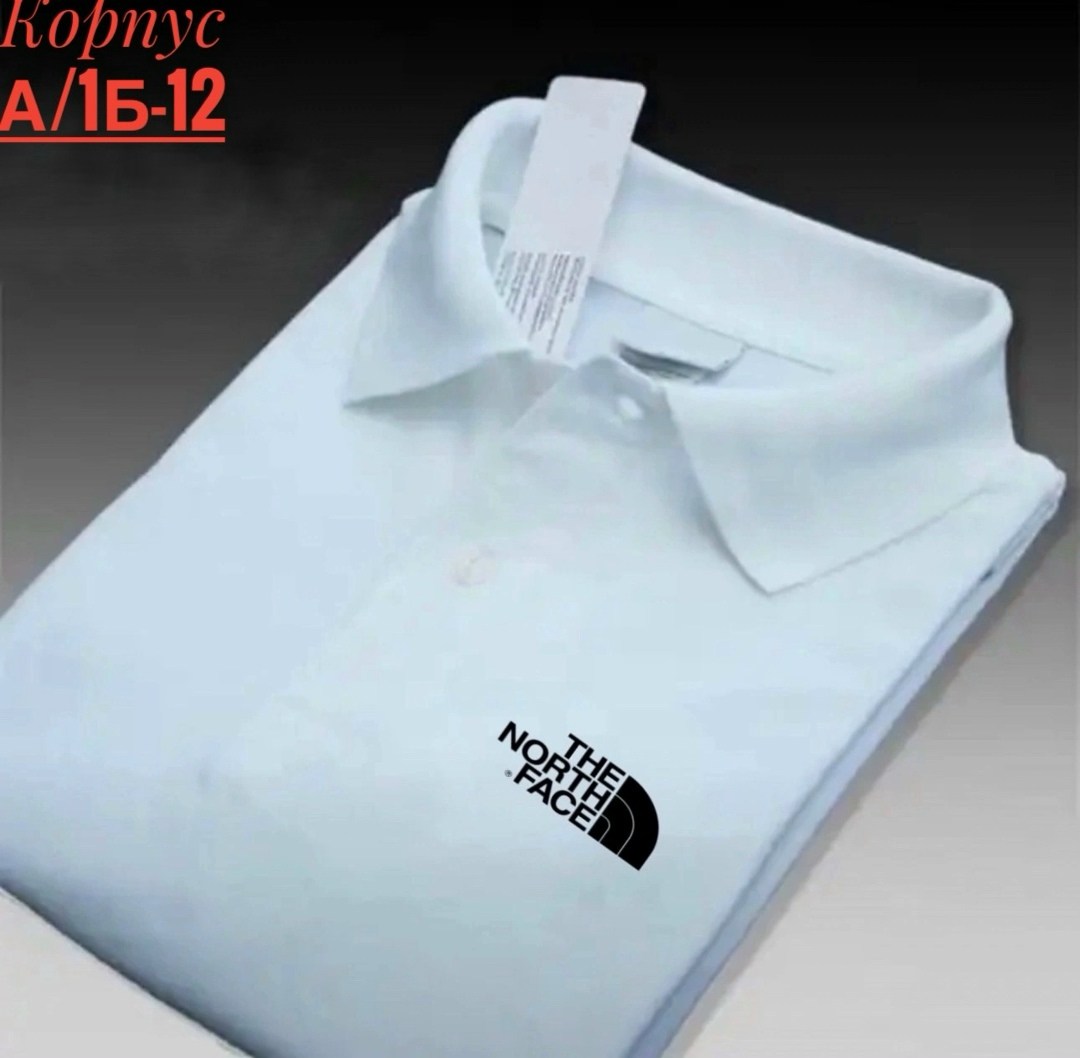 мужская рубашка поло,мужская рубашка поло с короткими рукавами,поло the north face,футболки поло мужская