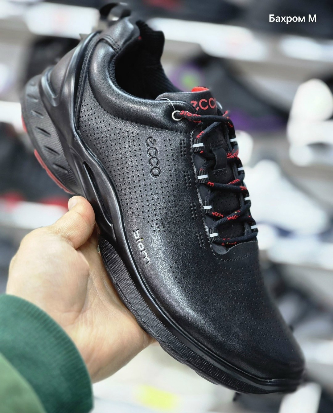 кроссовки ecco,мужские кроссовки ecco,кроссовки ecco biom,кроссовки экко мужские,