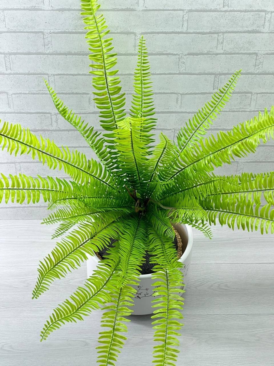 нефролепис,нефролепис папоротниковые,папоротник нефролепис,папоротник,папоротник искусственный