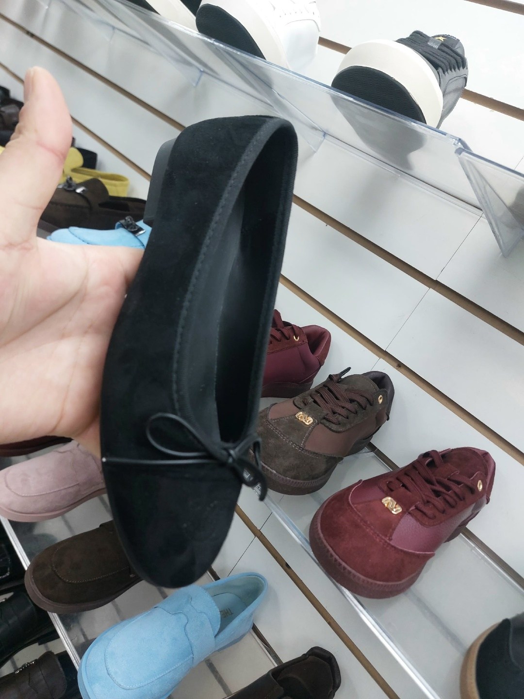 неро гардини  балетки,,балетки,балетки женские,обуви