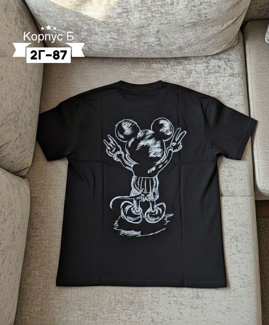 футболка,футболки базовая,футболки мужские с принтом,мужская футболка,футболка с принтом