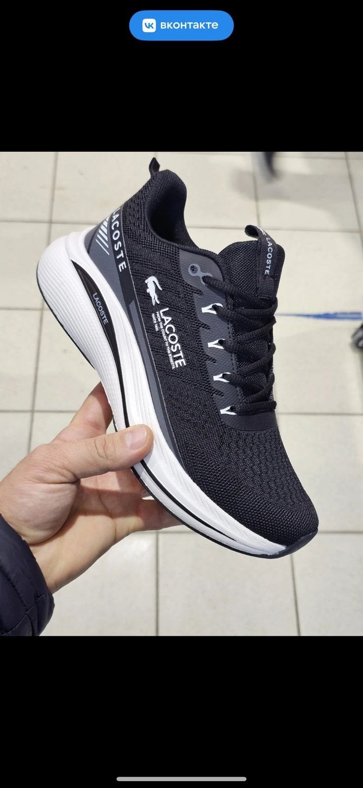 кроссовки lacoste,кроссовки,лакоста ,лакоста кроссовки,кроссовки мужские lacoste