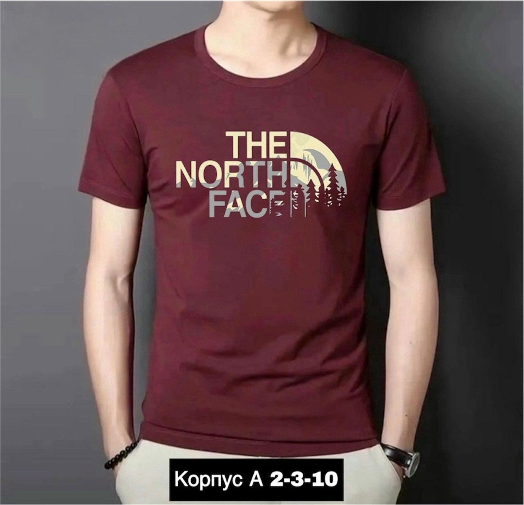 футболка мужская the north face,футболки мужские,футболки для мужчин,мужская футболка easy the north face,футболка the north face