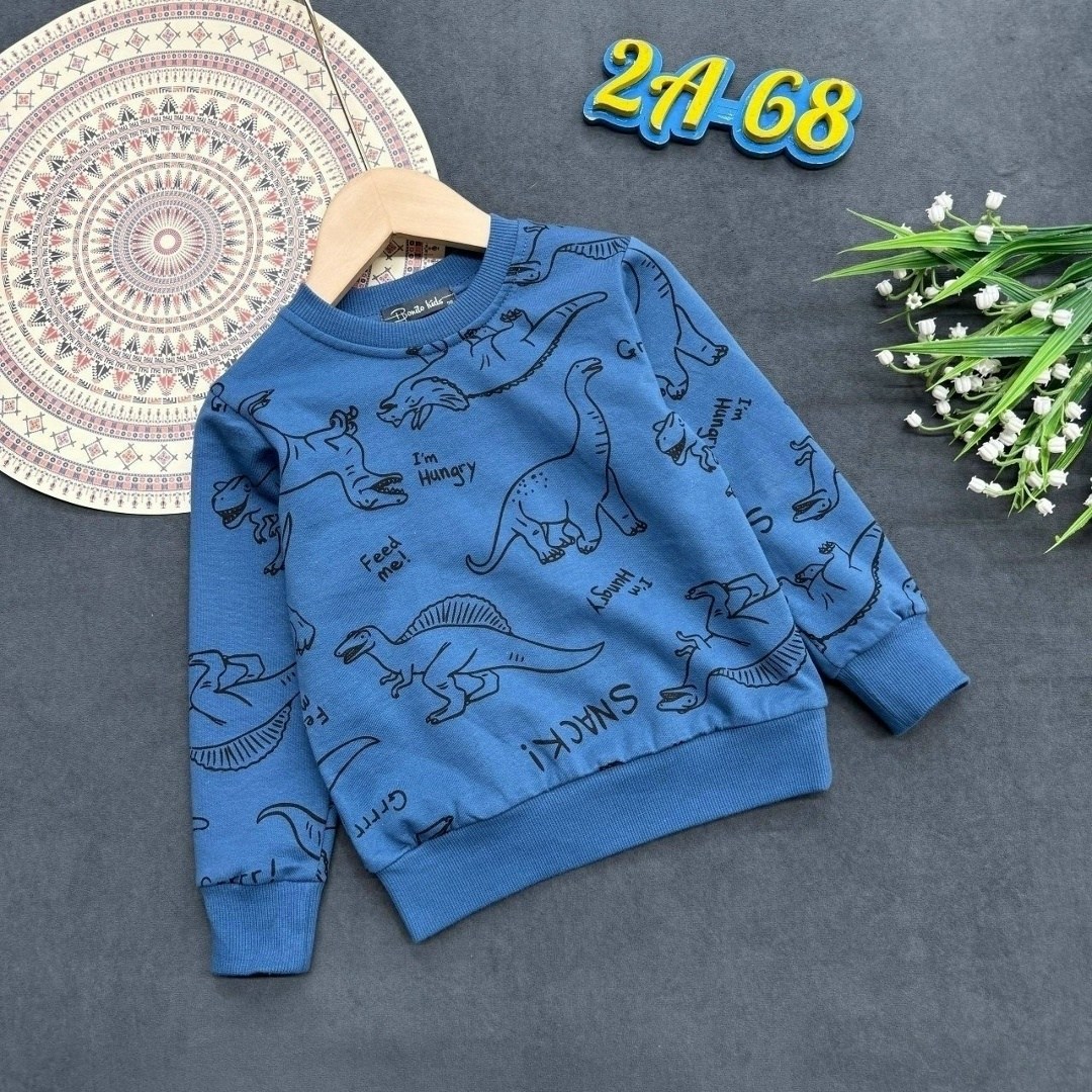 свитшот для мальчиков,кофта для мальчика,детская кофта,толстовка для мальчика,свитшот детский