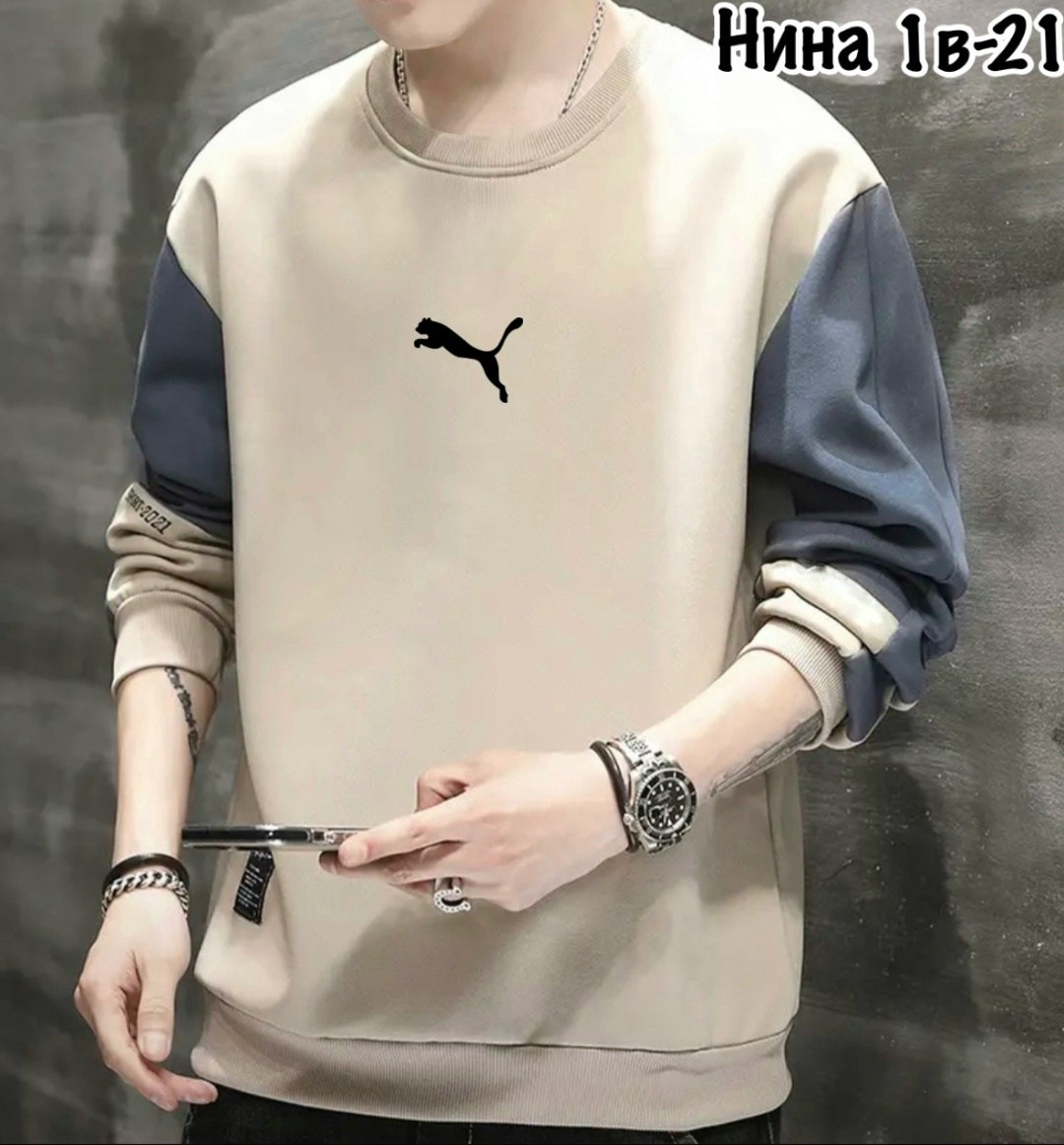 толстовка в стиле,толстовка мужская,повседневный свитшот,мужской свитшот,толстовки кофта