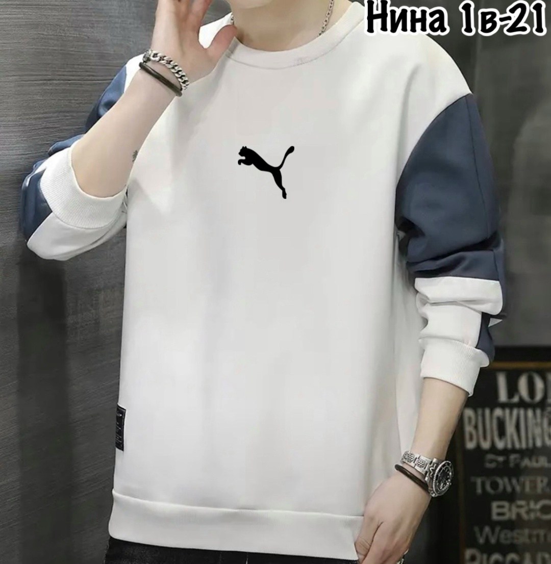 толстовка в стиле,толстовка мужская,повседневный свитшот,мужской свитшот,толстовки кофта