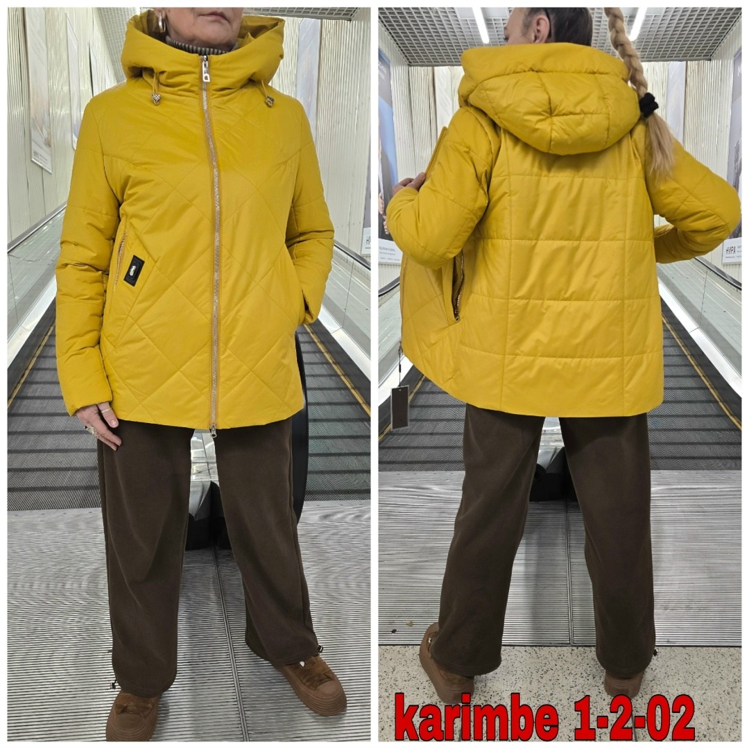 женская демисезонная куртка,куртка женская,демисезонная куртка,куртка демисезонная женская с капюшоном,куртка