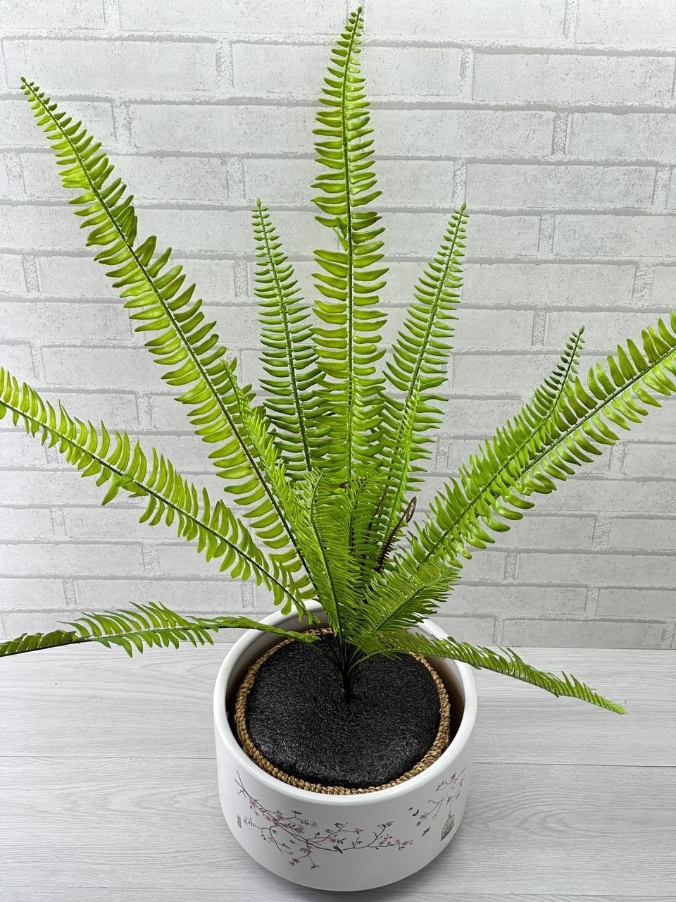 нефролепис,нефролепис папоротниковые,папоротник нефролепис,папоротник,папоротник искусственный