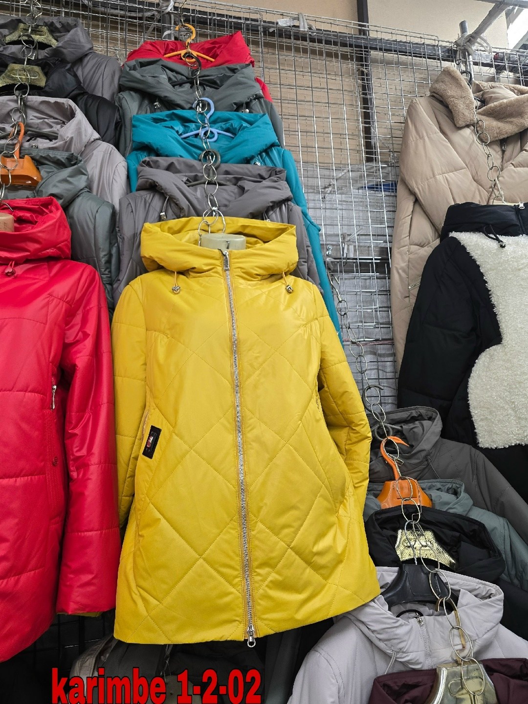 женская демисезонная куртка,куртка женская,демисезонная куртка,куртка демисезонная женская с капюшоном,куртка