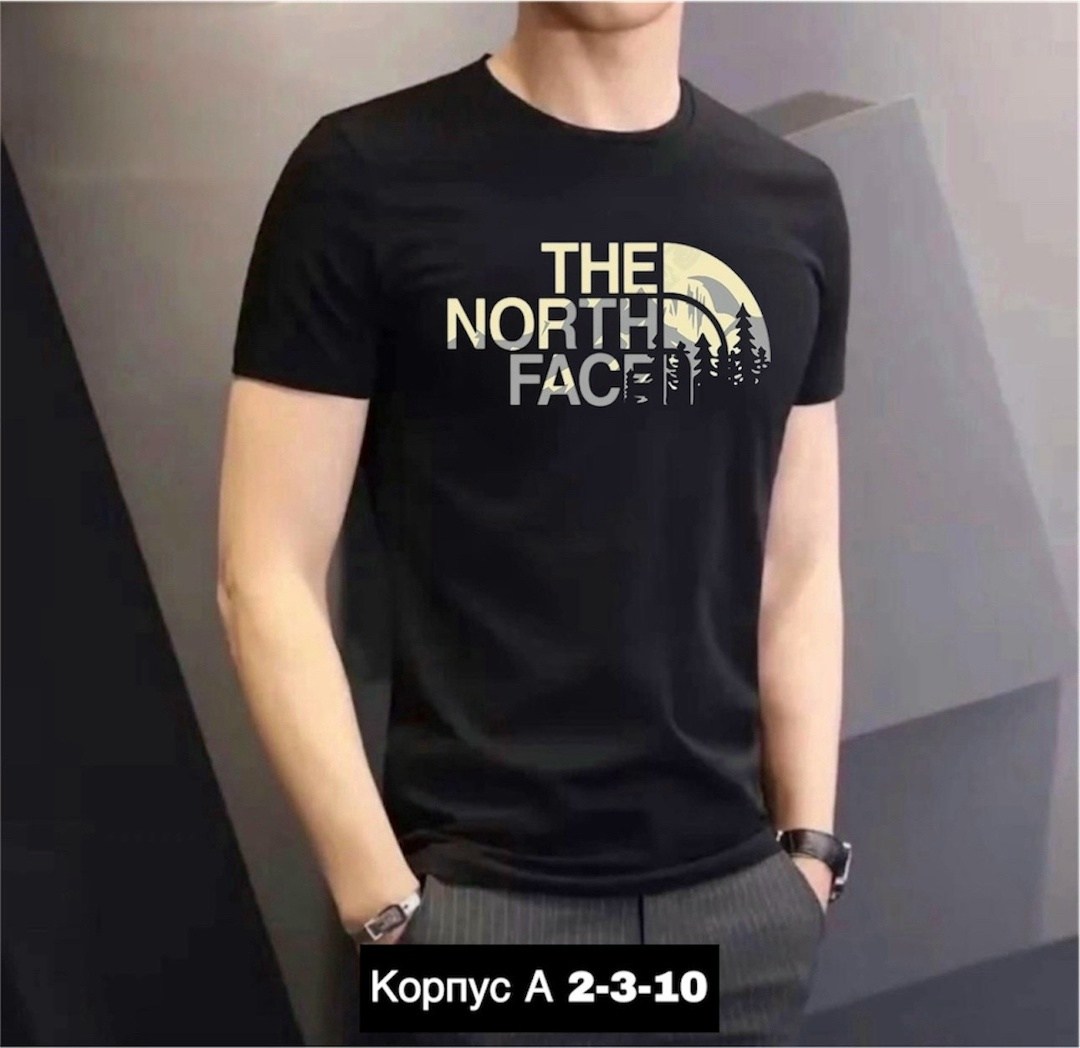 футболка мужская the north face,футболки мужские,футболки для мужчин,мужская футболка easy the north face,футболка the north face