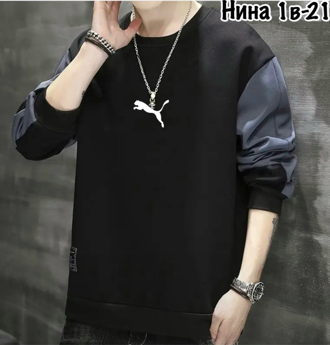 толстовка в стиле,толстовка мужская,повседневный свитшот,мужской свитшот,толстовки кофта