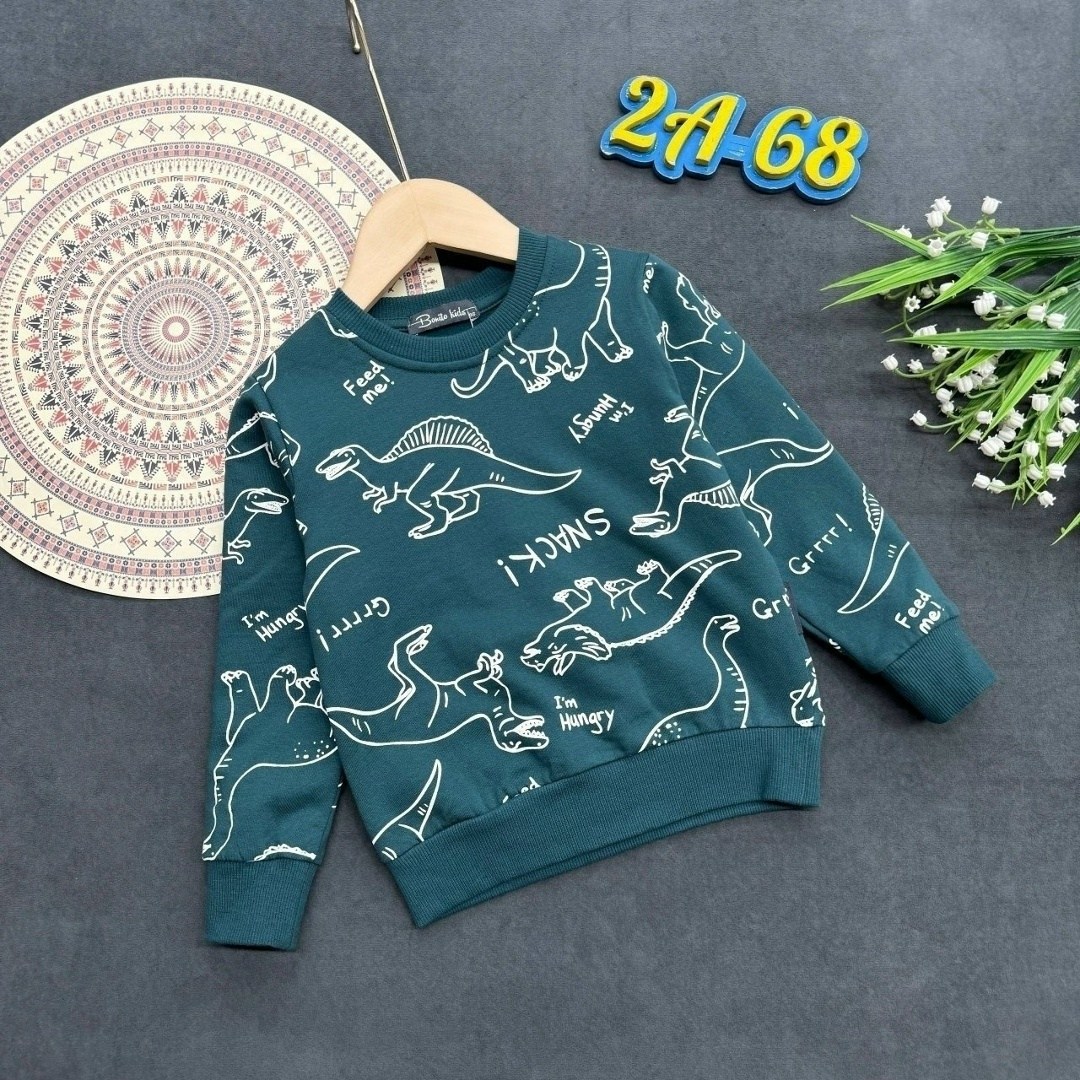 свитшот для мальчиков,кофта для мальчика,детская кофта,толстовка для мальчика,свитшот детский