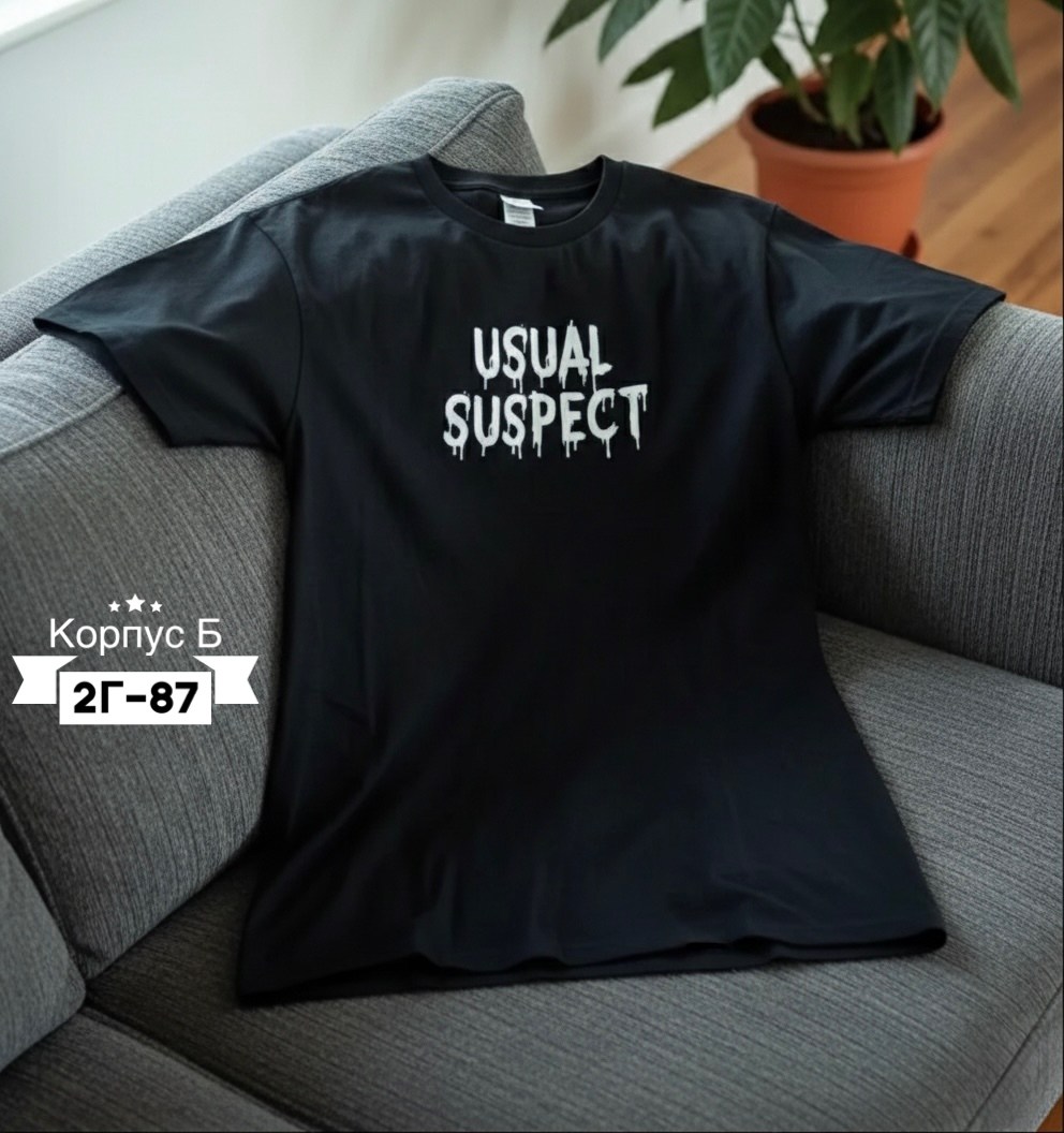 футболка,футболки базовая,футболки мужские с принтом,мужская футболка,футболка с принтом