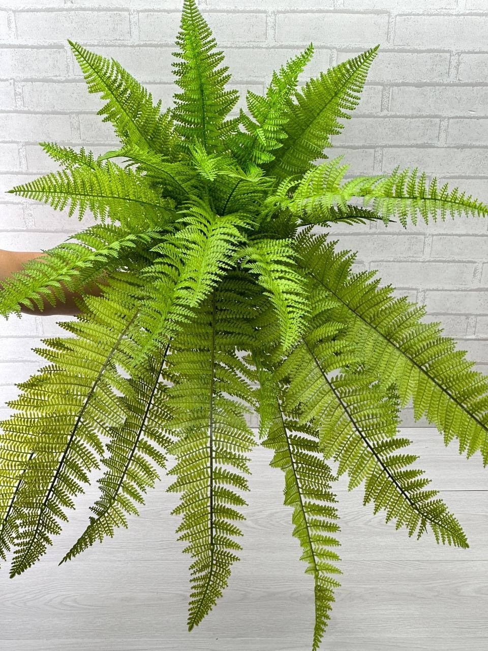 папоротник нефролепис бостон искусственный,папоротник нефролепис бостон,нефролепис бостонский,папоротник,папоротник нефролепис бостон искусственный d90 h55